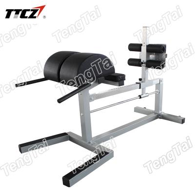 China New Arrival Style Fitness Equipment Modern Commercial Gym Roman Chair Crossfit ghd machine for sale