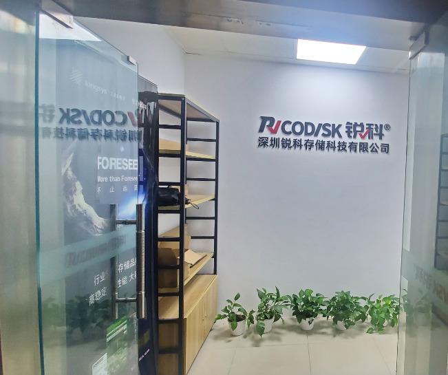 Verified China supplier - Shenzhen Ricodisk Technology Co., Ltd.