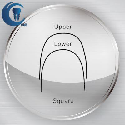 China Durable Dental Accessory Ovoid Orthodontic Stainless Steel Archwires for sale