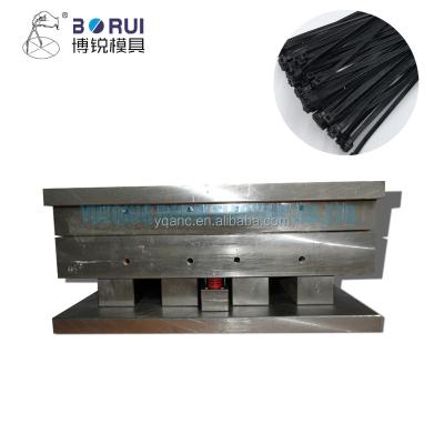 China P20/718/738/NAK80/S136 BORUI cable tie for plastic engine injection molding mold injection for sale