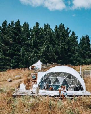 China Camouflage Gaming Trade Show Tent 8m Diameter Igloo Geodesic Dome Igloo Metal Structure Camping Tent Luxury Hotel Dome Home / Field Glamping Round Dome Tent for sale