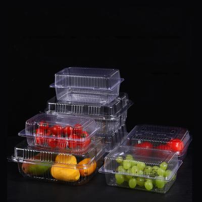 China Recycled Materials Fruit Disposable Transparent Plastic Box With Lid Fresh Fruit Tray Strawberry Packaging Box Fruit Fishing Blueberry for sale