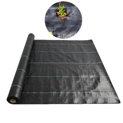 China Hot Sale Best Price 2x100M Anti Grass Growth Grass Control Plant Cover Net Black Membrane Protective Sheet Anti UV Weed Mats Growing Weed Prevention for sale