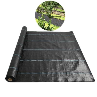 China Hot Sale Best Price 2x100M Anti Grass Growth Grass Control Plant Cover Net Black Membrane Protective Sheet Anti UV Weed Mats Growing Weed Prevention for sale