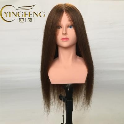 China Cosmetology Mannequin Heads 100% Natural Human Hair Training Doll Head With Shoulder Teaching Hair Styling Doll Realistic Mannequin Practice Head Doll for sale