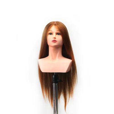 China Cosmetology Mannequin Heads 100% Human Hair Mannequin Head Makeup Female Braiding Hair Cutting Dummy Training Doll Head Hair Mannequin With Shoulder for sale