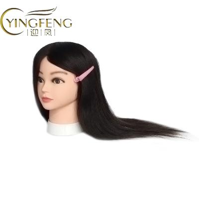 China Cosmetology Mannequin Heads High Quality Mannequin Head 100% Real Human Hair Hairdresser Training Head Manikin Cosmetology Doll Head With Stand for sale