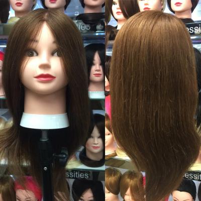 China Cosmetology Mannequin Heads 100% Real Hair Mannequin Head Training Dummy Blythe Doll Scalp Wig Head Dryer Cosmetology Mannequins Human Hair for sale