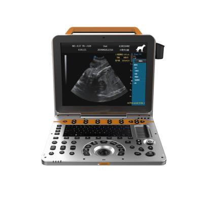 China High End Portable Metal Color Animal Ultrasound RAMA Doppler for sale