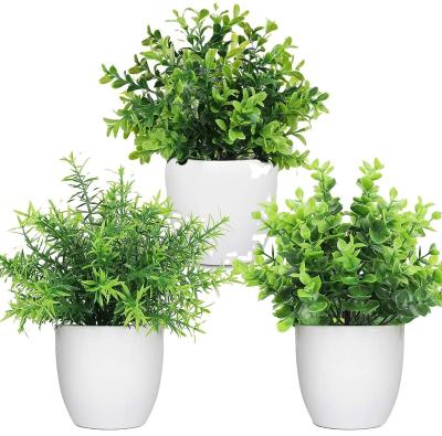 China Coastal Artificial Potted Plants Mini Faux Plants with Plastic White Pot for Home Office Shelf Table Decoration for sale