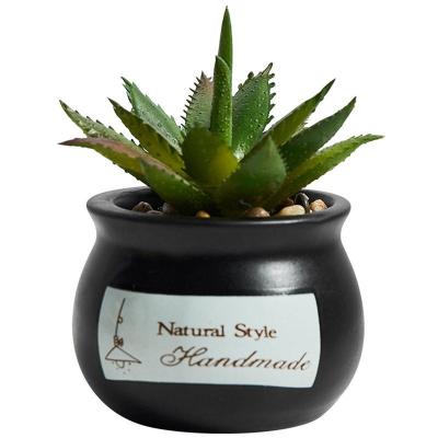 China Mini Minimalist Artificial Succulent Plant Fake Plant with Ceramic Pots for Home Office Farmhouse Office Table Decor for sale