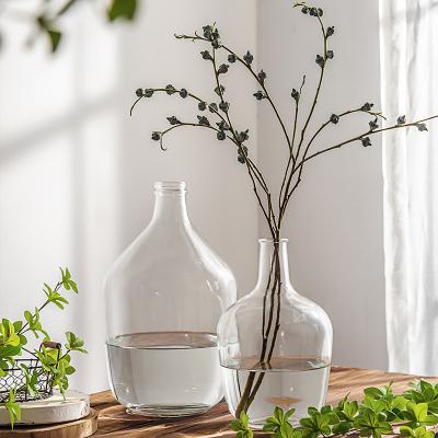 China MODERN Clear Glass Vase for Flower Plants for Home Decor for sale