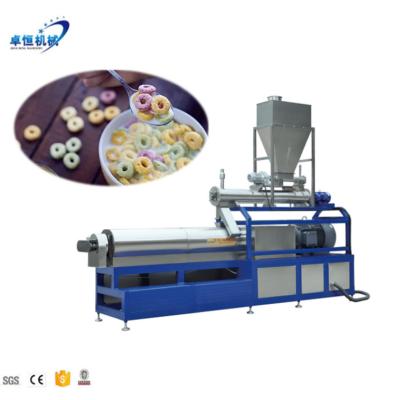 China Full Automatic Oat Flake Food Extruder Machine 2020 Popular Oat Flakes Making Machine Factory for sale