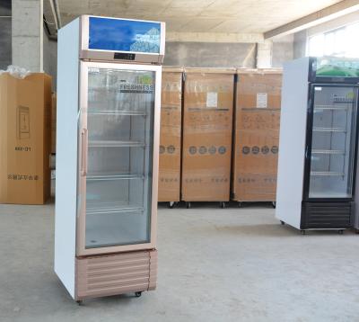 China Single-Temperature Vertical 1-Door Showcase Commercial Refrigeration Beverage Cooler for sale