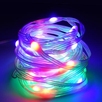 China Garden 5m 10m LED USB Flexible Remote Control Colorful Garden Marquee Lamp RGB Strip Light Holiday Decoration Copper Wiring Timing String for sale