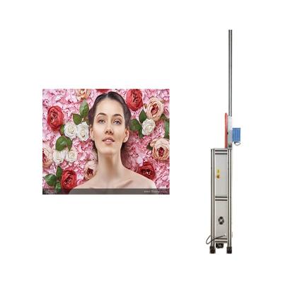 Cina Various 3d Vertical Uv Mural Painting Machine Direct To Wall For Home Decoration MJ-2000 in vendita