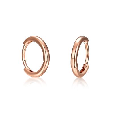 China CLASSIC Tasty Huggie Earrings Hoop Jewelry Earring Fashion Gold Trendy Style For Women for sale