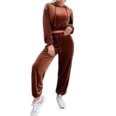 China Others Girls Drop Shoulder Crop Velvet Hoodie And Joggers Two Piece Set Outfits for sale