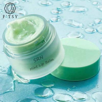 Cina Private Label Organic Vegan Moisturizing Nourishing Overnight Mint Lip Balm For Skin Care in vendita