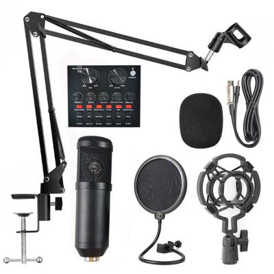 China Hot-selling Products 2021 BM Economic Shock Mount 800 Live Microphone Microphone Arm Microphone for sale