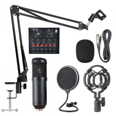 China professional microphone economic radio bm800 condenser microphone set for pc laptop phone for sale