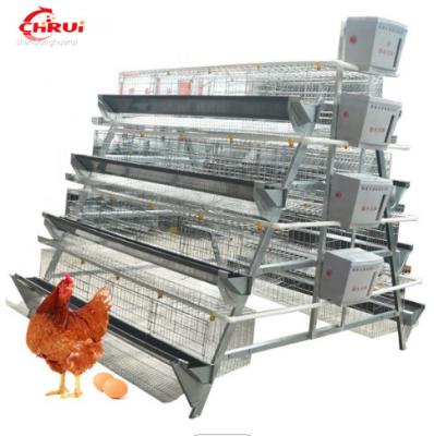 China Fast and Stable One Type Design Layer Chicken Cage Poultry Breeding Equipment Automatic Chicken Cage Egg Cage for sale