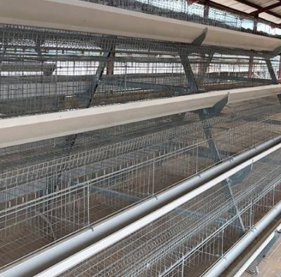 China Hot Selling Fast And Stable Easy To Install Poultry Equipment Cage Layer Animal Cage for sale