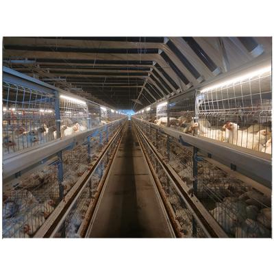 China Feeding High Quality H - Type Poultry Farming Chicken Layer Equipment Automatic Egg Cage for sale