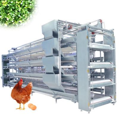 China Automatic Chicken Feeding Broiler Raising Broiler Breeding Cage H Type Chicken Home Equipment for sale