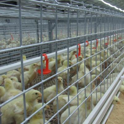 China Hot-selling automatic chicken cage feeding h-type poultry farming equipment galvanized chicken cage for sale