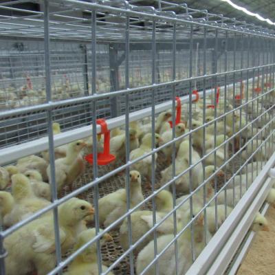 China 2022 Durable Equipment Cage Chicken Cage Broiler Poultry Poultry Breeding Cage for sale