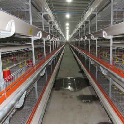 China Automatic Feeding Cage System Poultry Equipment Chicken Feeding H Type Broiler Cage for sale