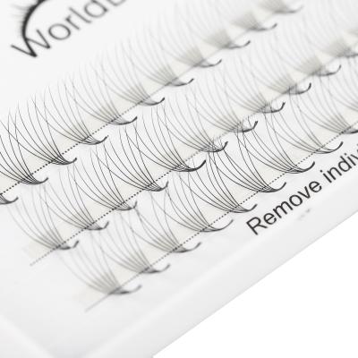 China Worldbeauty Premade Fans 3d 4d 5d 6d 7d 8d Natural Soft OEM ODM 8-15mm High Quality Eyelash Extensions for sale