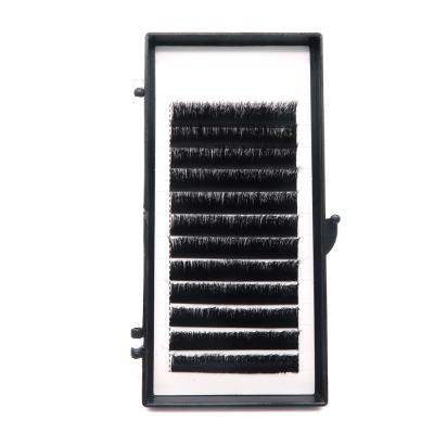 China Long Private Label Natural Faux Mink Mega Volume Cashmere Fan Eyelash Extensions Easy Blooming for sale