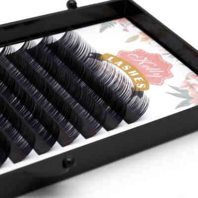 China Kelly Natural Soft Wick Wrapping Tray Lashextensions Supplier Custom Silk Lash Flat Extensions Eyelash Extension for sale