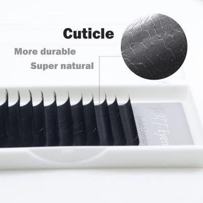 China Worldbeauty Natural Soft Lashes Seller Anti-allergic Cuticle Eyelash Extensions Lash Extension for sale