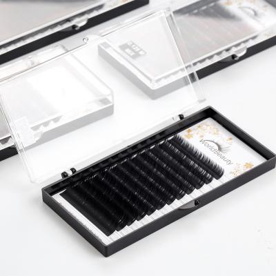 China Worldbeauty Wick Extensions Stable Private Label Loop & Tray High Quality Eyelash Extension & Wick Extension for sale