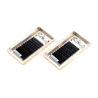 China Worldbeauty Natural Classic Long Lash Extensions Tray Flat Russian Volume Eyelash Extensions Wholesale for sale