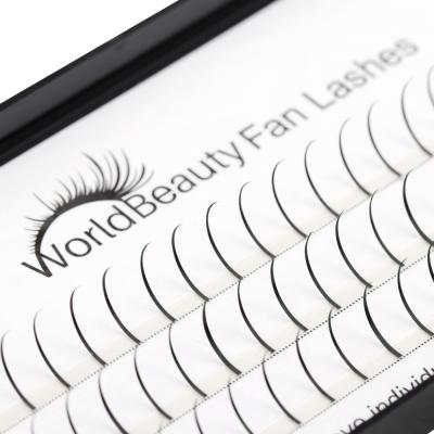 China Worldbeauty 4 Stem 5 Rod Natural Soft Black Brown Private Label 0.07MM 0.10mm 5mm-20mm C D Nails Eyelash Extensions for sale