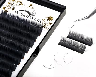 China Worldbeauty Natural Soft Classic Eyelash Tray Volume Enhancer Kit Vendors Set Extension for sale