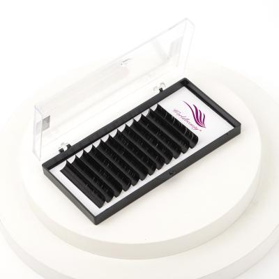 China Wholesale Individual Mink Eyelash Extension Korea False Eyelash Extension 0.03d Curl Natural Soft Wick Flat Extension worldbeauty for sale