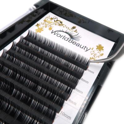 China Worldbeauty cc Natural Soft Faux Mink Lashes Extensions Curl Eyelash Extensions Classic Mink Extensions for sale