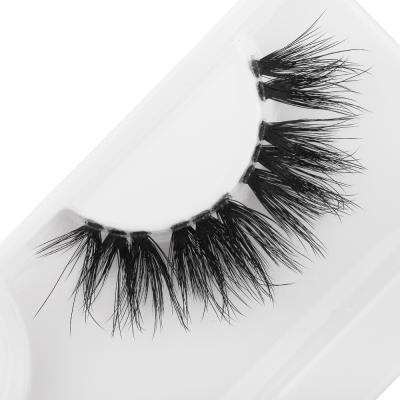 China Worldbeauty softer diy pre cut individual false mink eyelashes extension 10days for sale