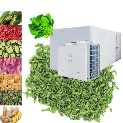 China Fruit and vegetable rice noodle/flour cake/noodle dehydrator, heat pump dryer drying equipment machine for sale