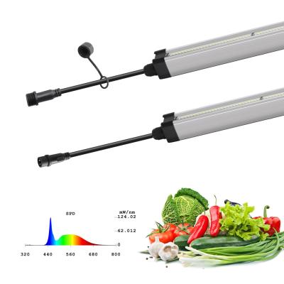 China Linear Waterproof LED Grow Light high PPFD For Horticulture Cultivation for sale