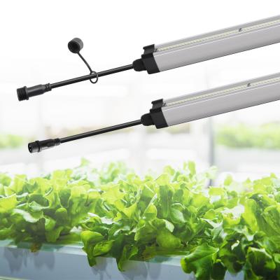 China Mega Plus LM301B Full Spectrum LED Grow Light Bar Hydroponic Waterproof LED Grow Light for sale