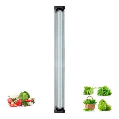 Cina Luci progressive complete di spettro di Dimmable per il fiore di Veg delle piante d'appartamento in vendita