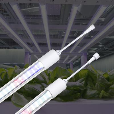 China El poder más elevado del espectro de RHOS 150w llevado crece las luces para los almácigos vegetales en venta