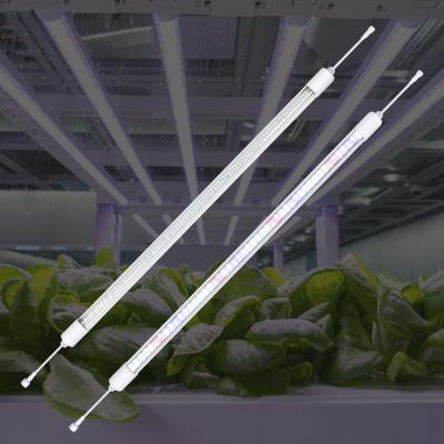 China Supplemental Led Grow Light Bars Full Spectrum Waterproof Led Grow Lamp Strip for Indoor Plants Greenhouse Growing for sale