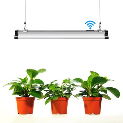 China La planta crece la luz completa de la planta del espectro de las lámparas ligeras del crecimiento con el control del APP para las plantas interiores en venta